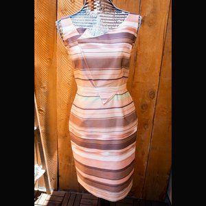 Tahari Sleeveless Pink Striped Sheath Dress Size 2